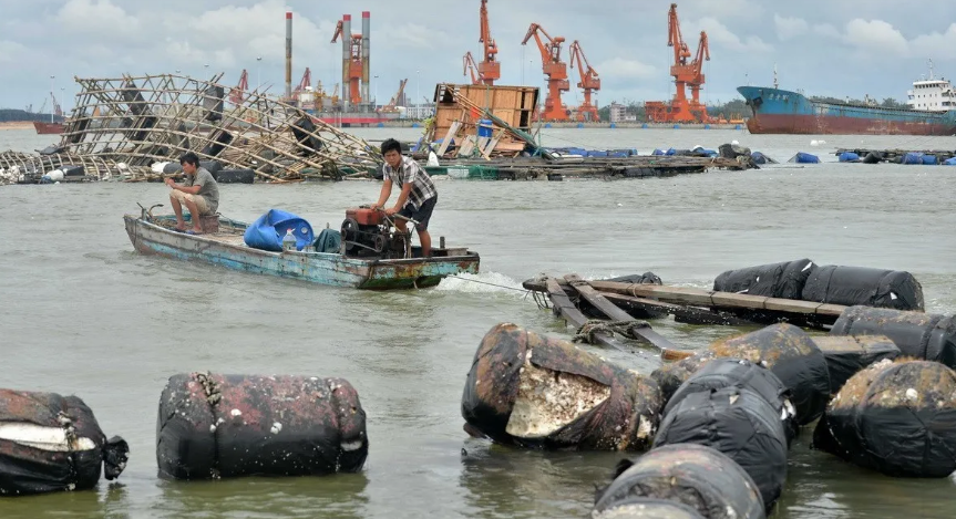 图片3.png 图片3.png