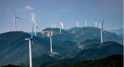 89a1f5ee-2eaa-4394-a34b-99735bcbe11e.png 89a1f5ee-2eaa-4394-a34b-99735bcbe11e.png